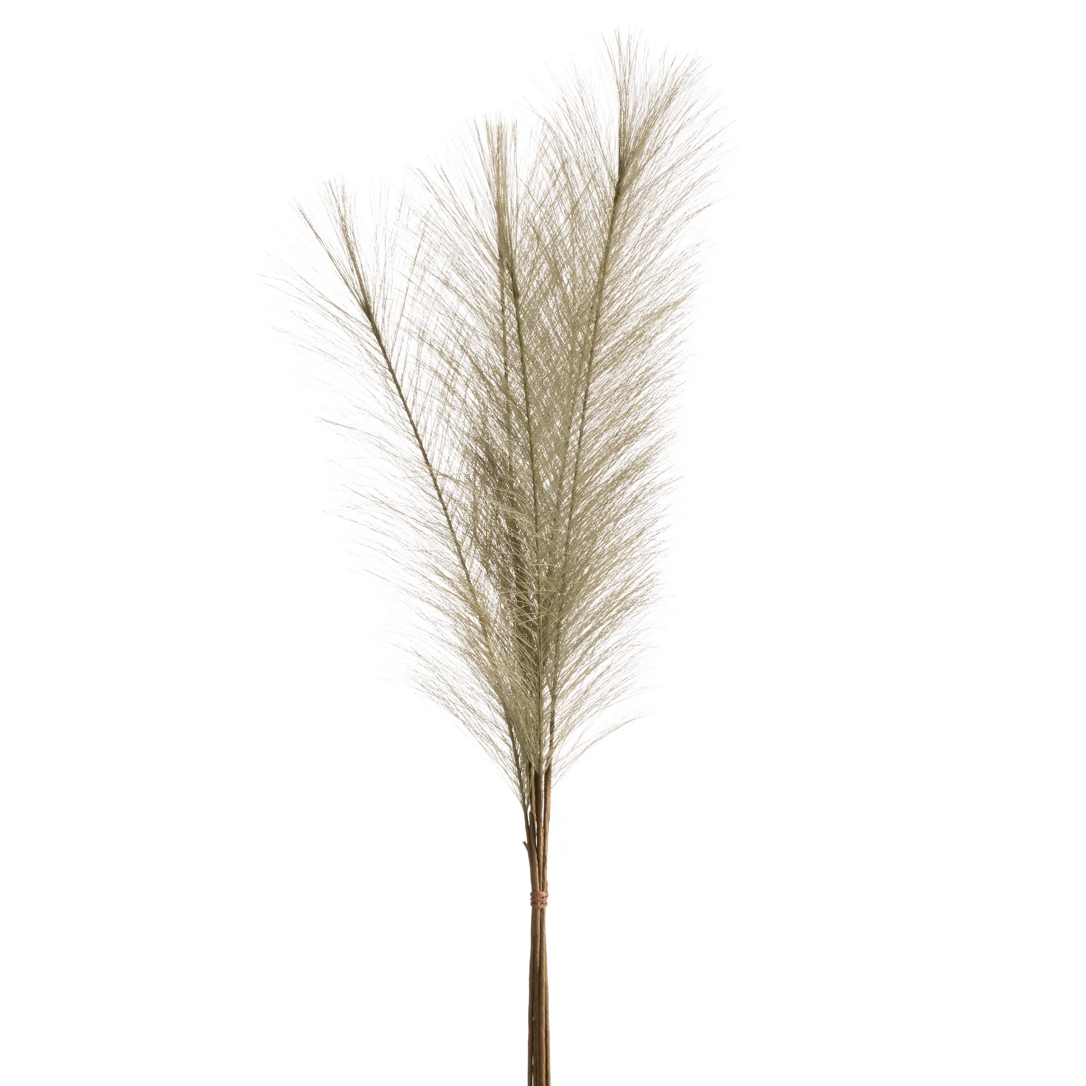 Gałązka sztuczna trawa pampasowa zielona z ozdobnym pióropuszem 70 cm