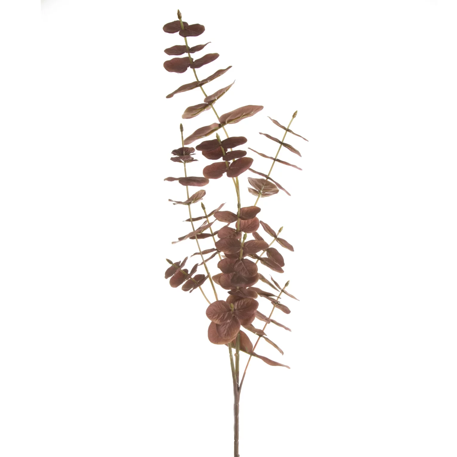 Kwiat sztuczny eukaliptus brązowy 90 cm