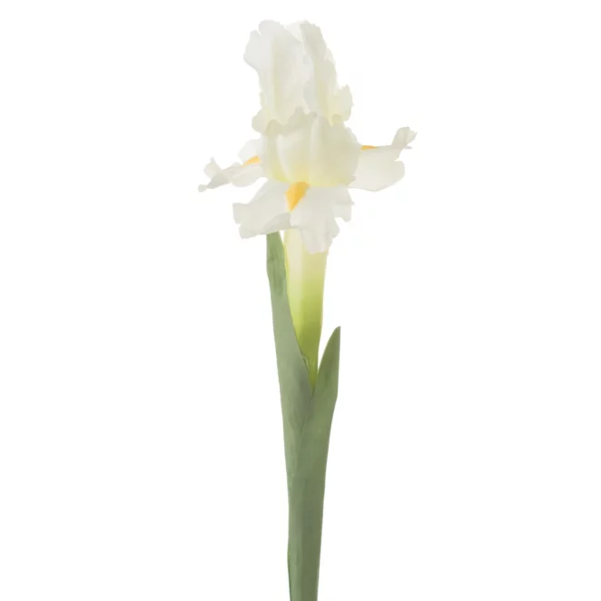 Kwiat sztuczny kremowy irys 70 cm
