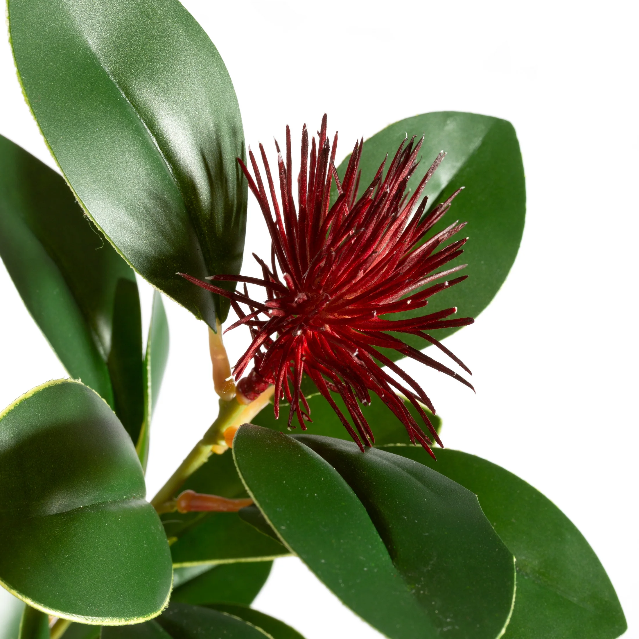 KUFLIK CALLISTEMON zielona gałązka z kwiatami SZTUCZNY KWIAT DEKORACYJNY