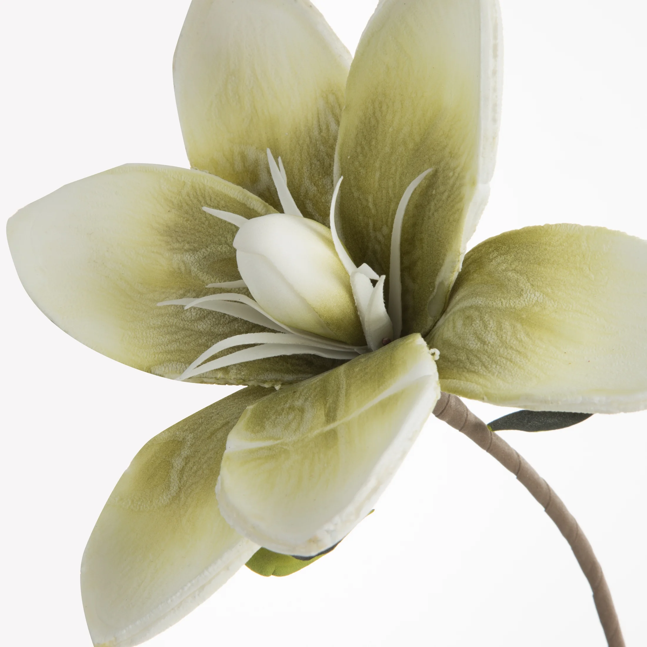 Kwiat sztuczny magnolii zielono, kremowy 70 cm