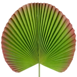 Liść sztuczny duży zielono, bordowy z silikonu 83 cm
