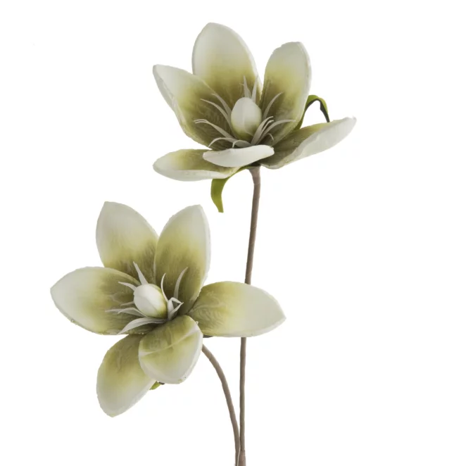 Kwiat sztuczny magnolii zielono, kremowy 70 cm