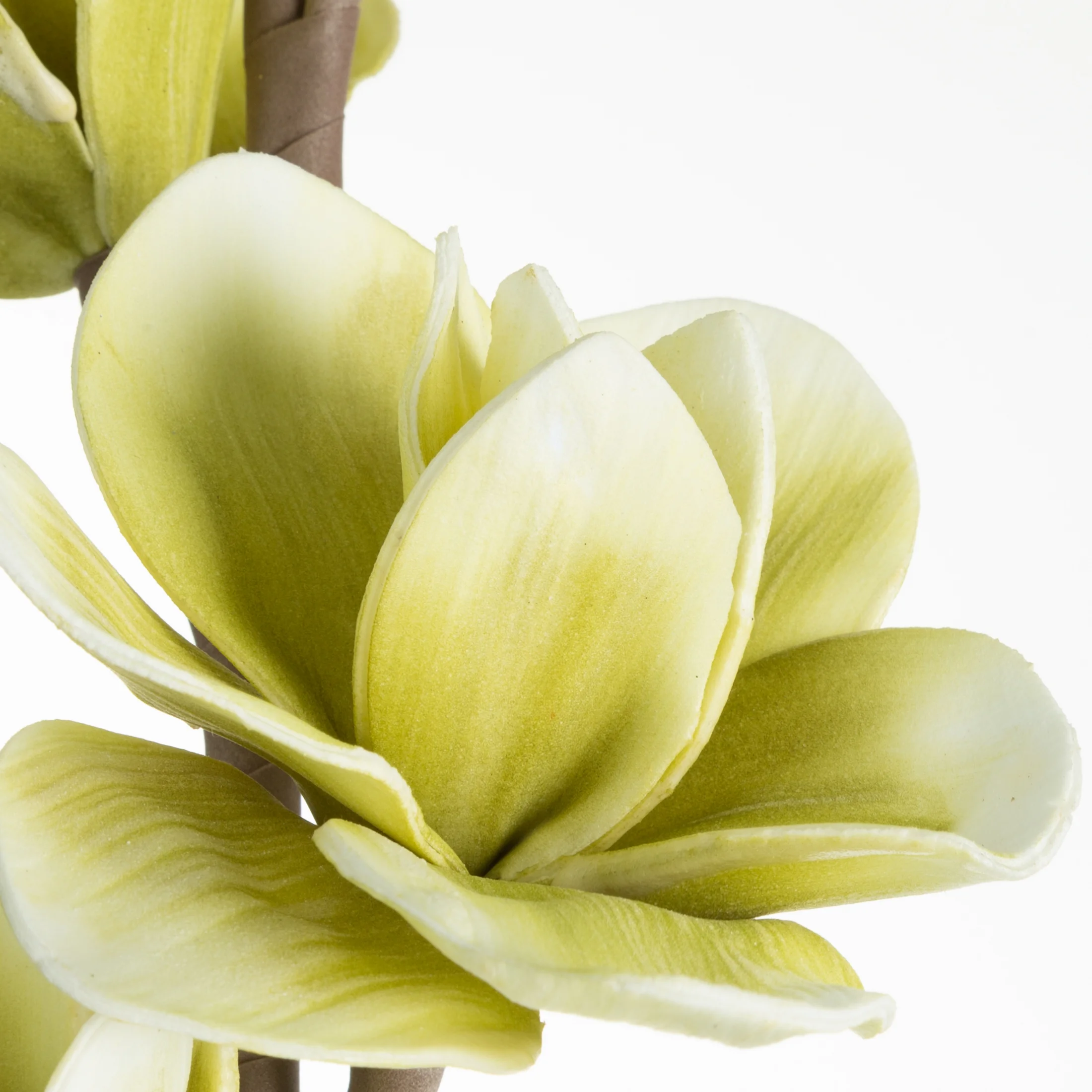 Kwiat sztuczny magnolia zielony z pianki foamiran 104 cm