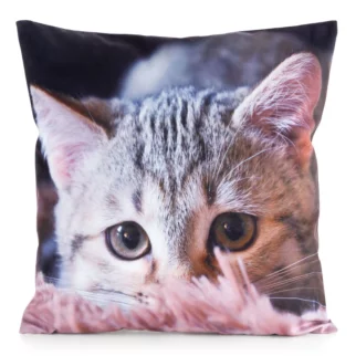 Poszewka na poduszkę 45x45 cm welwetowa szaro, jasnopopielaty zdobiona nadrukiem uroczego kota ANIMAL